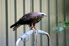 Killikus&reg; Fotographie